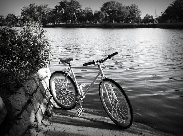 What’s the Difference between Single Speed and Fixed Gear Bikes?