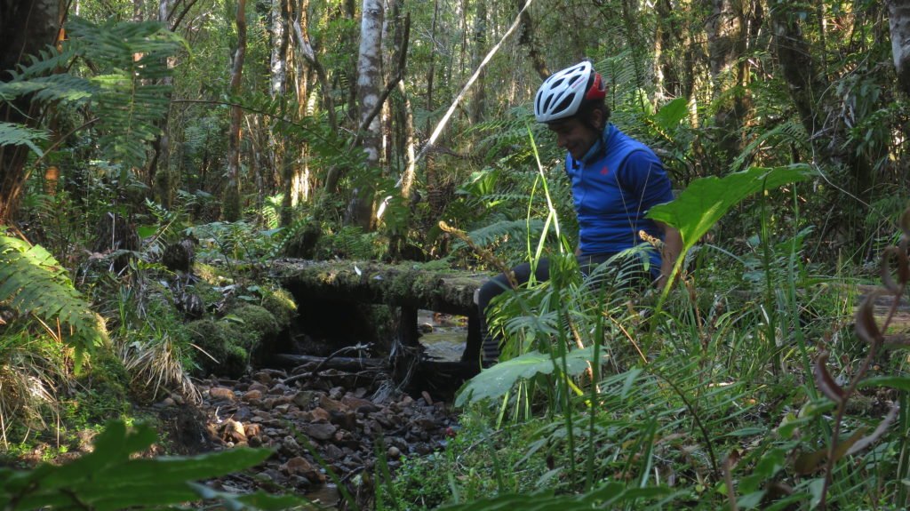 Pumalin Park Chile bike packing