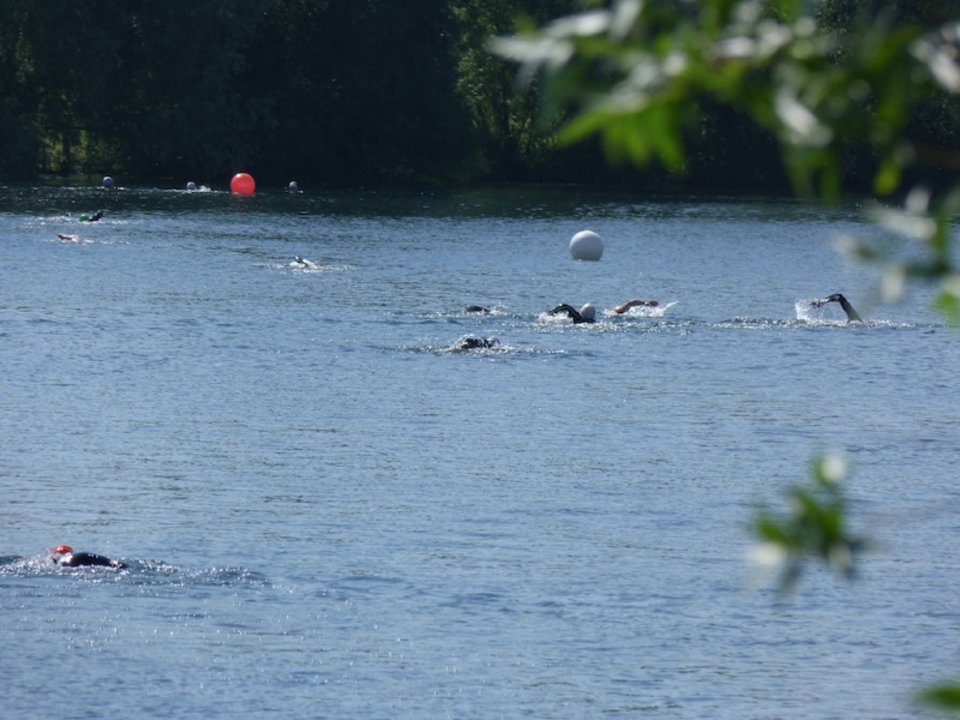 Swimmers at Shepperton Open Water Swimming