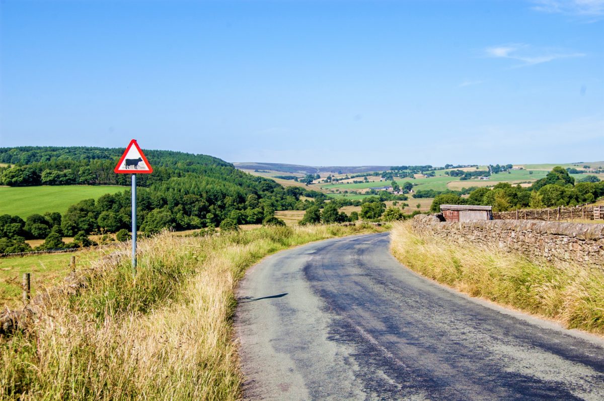 The rolling, green hills of the Peak District 