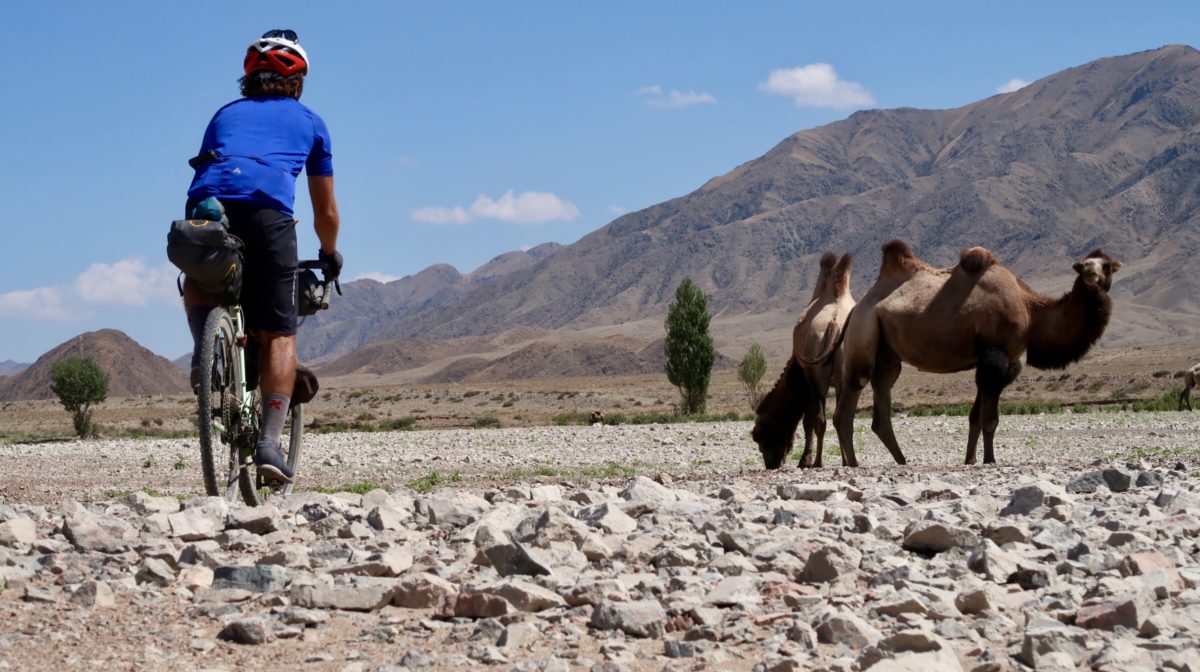 bikepacking - marcus rides past camels 
