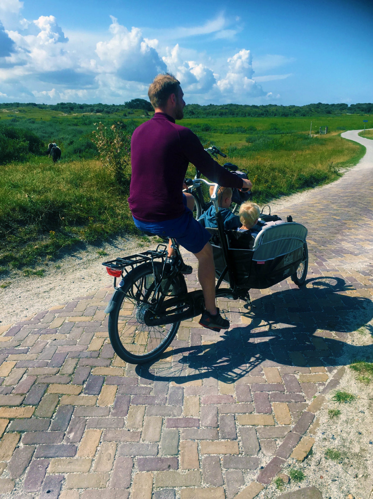 cycling in holland