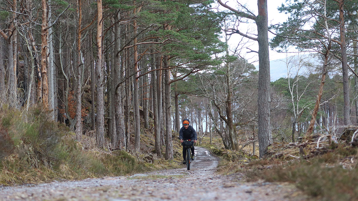 cycling in scotland woods